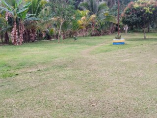 Land For Sale in Grange Hill, Westmoreland, Jamaica