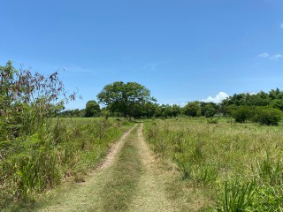 Residential lot For Sale in Bushy Park, St. Catherine, Jamaica