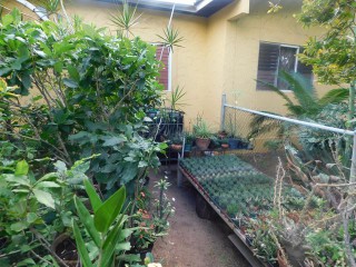 Commercial building For Sale in Windsor Avenue, Kingston / St. Andrew Jamaica | [12]