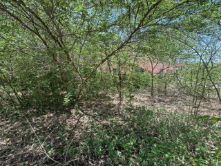 Land For Sale in Milk River, Clarendon, Jamaica