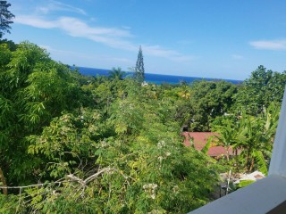 House For Sale in Tower Isle, St. Mary Jamaica | [9]