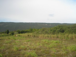 Residential lot For Sale in Round Hill Treasure Beach PO, St. Elizabeth Jamaica | [4]