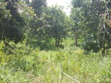 Residential lot For Sale in york street, St. Catherine Jamaica | [9]