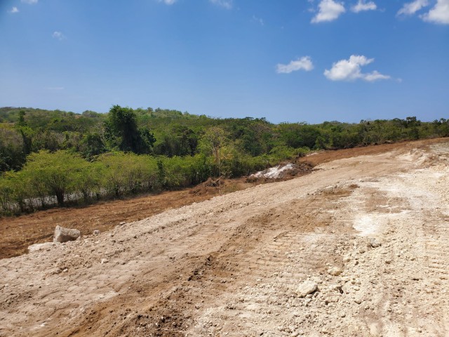 Residential lot For Sale in Luana, St. Elizabeth Jamaica | [1]