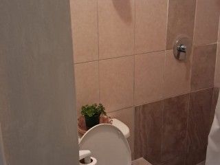 Apartment For Rent in Oxford Manor, Kingston / St. Andrew Jamaica | [8]