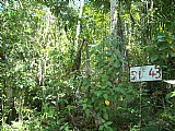Commercial/farm land For Sale in Sligoville, St. Catherine Jamaica | [3]