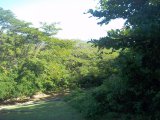 Resort/vacation property For Sale in Round Hill, Hanover Jamaica | [3]