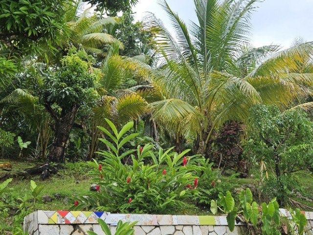 House For Sale in St Margarets Bay, Portland Jamaica | [9]