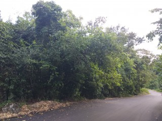 Residential lot For Sale in Sherbourne Heights, Kingston / St. Andrew Jamaica | [2]