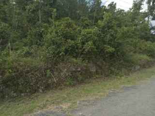 Commercial/farm land For Sale in Browns Town, St. Ann Jamaica | [1]