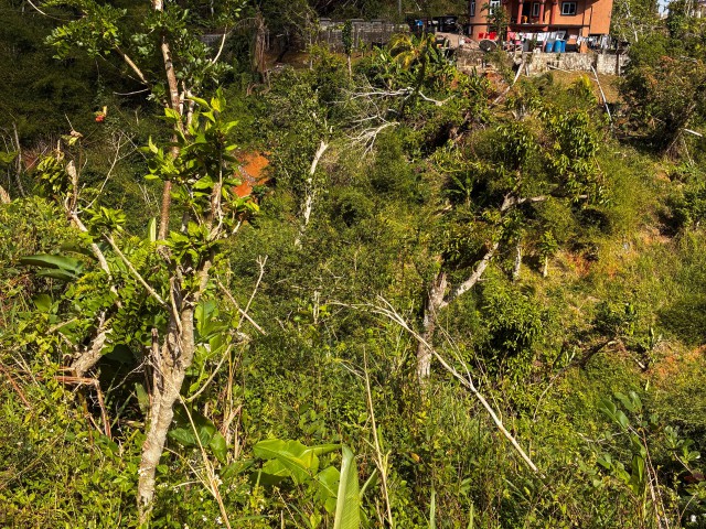 Residential lot For Sale in CascadeJericho, Hanover Jamaica | [2]