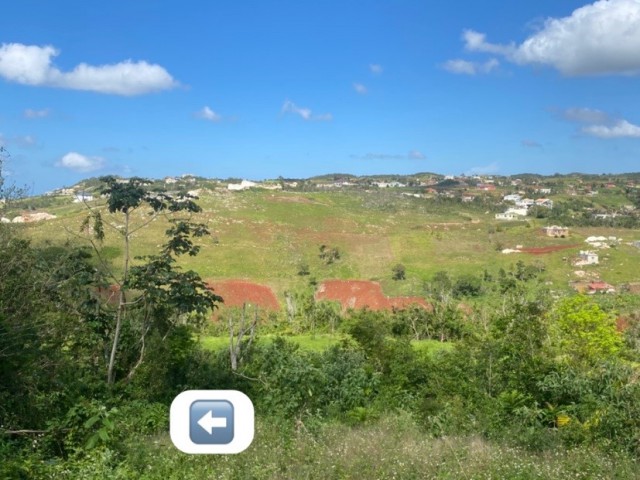 Land For Sale in Bellevue district, St. Elizabeth Jamaica | [1]