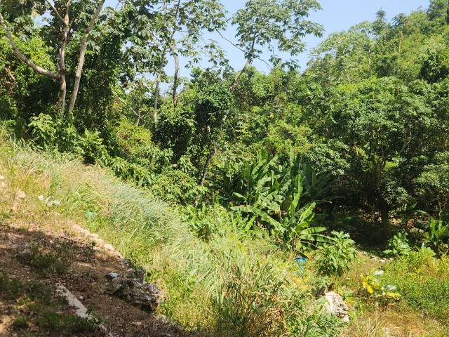 Residential lot For Sale in Swain Spring, Kingston / St. Andrew Jamaica | [1]