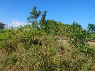 Residential lot For Sale in Bybrook, St. Elizabeth Jamaica | [7]