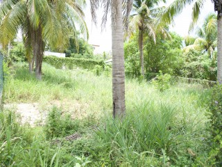 Land For Sale in Santa Cruz, St. Elizabeth, Jamaica
