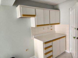 Apartment For Rent in New Kingston, Kingston / St. Andrew Jamaica | [6]