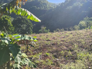 Land For Sale in Charlton Ave, Manchester Jamaica | [7]