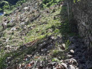 Land For Sale in Catherine Close, Kingston / St. Andrew Jamaica | [3]