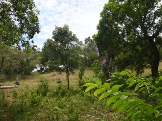 Land For Sale in Brompton, St. Elizabeth, Jamaica
Under Offer