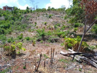 Residential lot For Sale in Tower isles, St. Mary, Jamaica