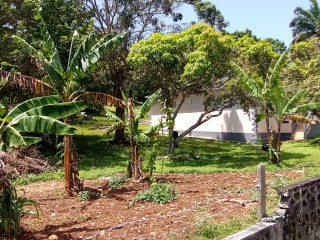 House For Sale in Chatham PA, St. James Jamaica | [8]