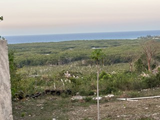 Land For Sale in Falmouth, Trelawny, Jamaica