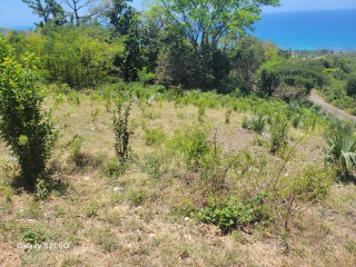 Residential lot For Sale in Culloden, Westmoreland Jamaica | [4]