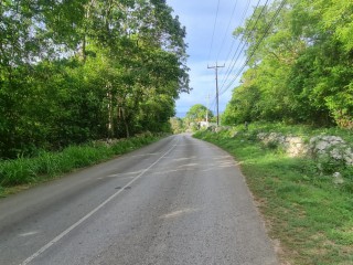 Land For Sale in Silver Sands, Trelawny, Jamaica