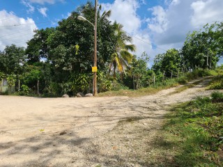 Commercial/farm land For Sale in Bog Walk, St. Catherine Jamaica | [3]