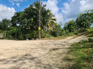 Commercial/farm land For Sale in Bog Walk, St. Catherine, Jamaica