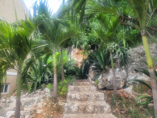 Apartment For Rent in Mayfair Red Hills, Kingston / St. Andrew Jamaica | [14]
