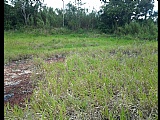 Residential lot For Sale in New Wales, Manchester Jamaica | [1]