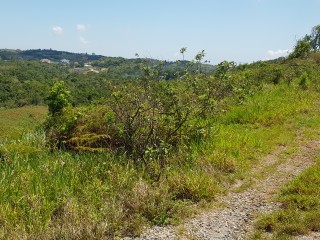 Residential lot For Sale in Kingsland, Manchester Jamaica | [8]