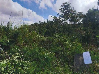 Residential lot For Sale in Mandeville, Manchester Jamaica | [3]