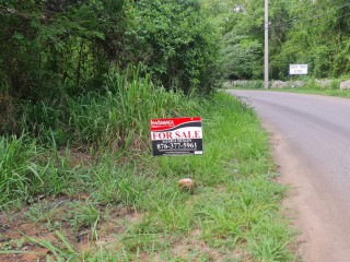 Land For Sale in Silver Sands, Trelawny, Jamaica