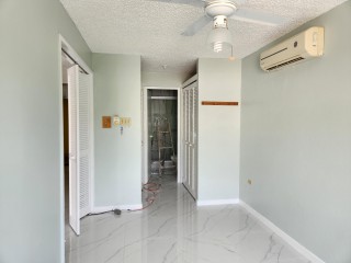 Apartment For Rent in New Kingston, Kingston / St. Andrew Jamaica | [1]