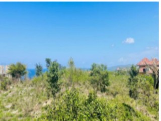 Land For Sale in Tower Isle, St. Mary Jamaica | [1]