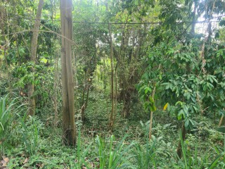 Residential lot For Sale in Jacks Hill, Kingston / St. Andrew Jamaica | [1]