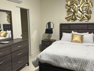 1 bed Apartment For Rent - New Kingston, Kingston / St. Andrew, Jamaica