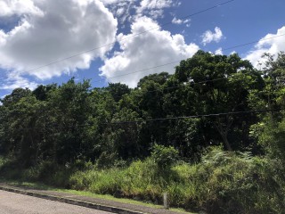 Residential lot For Sale in Moorland Estate, Manchester Jamaica | [1]