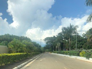 Land For Sale in Lacovia, St. Elizabeth Jamaica | [8]