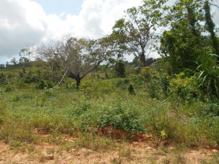 Land For Sale in Rosewell, Clarendon Jamaica | [1]
