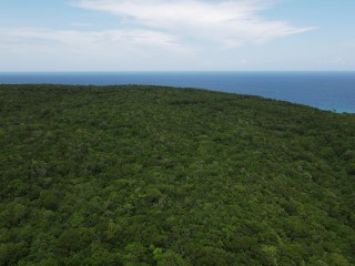 Land For Sale in Duncans, Trelawny, Jamaica