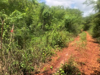 Residential lot For Sale in 10 acres Bannister Old Harbour, St. Catherine, Jamaica
