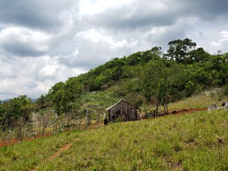 Land For Sale in Friendship St Ann, St. Ann, Jamaica