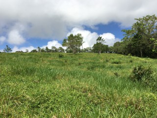 Residential lot For Sale in Chippenham Park Bamboo, St. Ann Jamaica | [10]