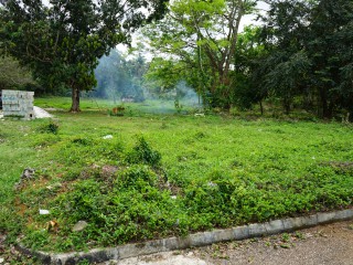 Residential lot For Sale in Brighton Santa Cruz, St. Elizabeth Jamaica | [2]