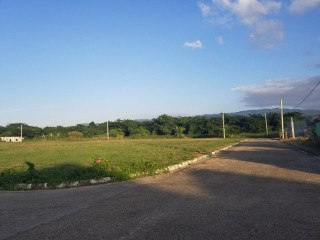 Residential lot For Sale in Paradise, Westmoreland Jamaica | [2]