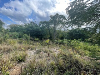 Residential lot For Sale in Montego Bay, St. James Jamaica | [2]