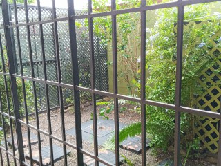 Townhouse For Rent in Constant Spring, Kingston / St. Andrew Jamaica | [1]